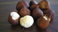 manfaat salak