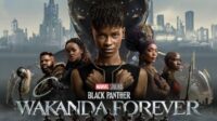 Black Panther 2 Wakanda Forever
