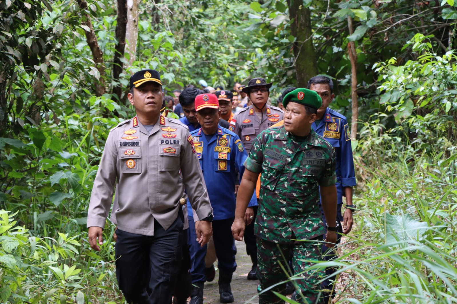45 Hektare Hutan Lindung di Tanjungpinang Rawan Terjadi Kebakaran