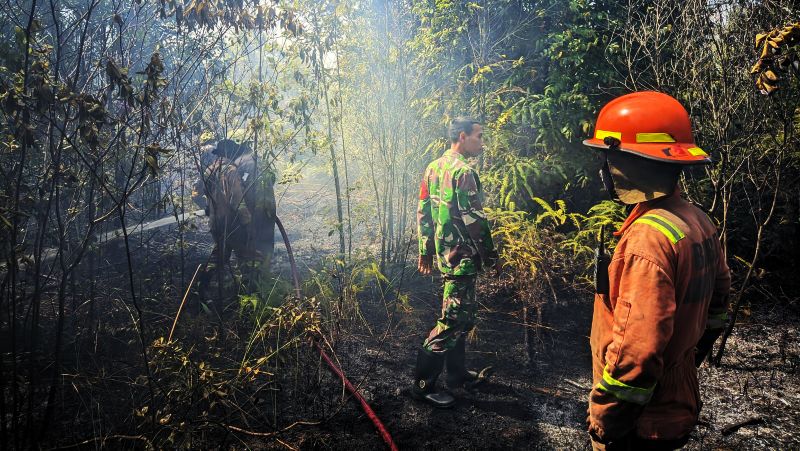 UPT Damkar Bintan Utara Tangani 9 Kasus Karhutla, 17,5 Hektar Lahan Ludes