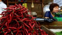 Hari ini Pasar Murah di Sentra IKM Tengku Mandak Tanjungpinang, Cabai Merah Rp65 Ribu per Kilogram