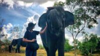 Safari Lagoi dan Eco Farm: Pengalaman Menyenangkan dan Edukatif di Bintan