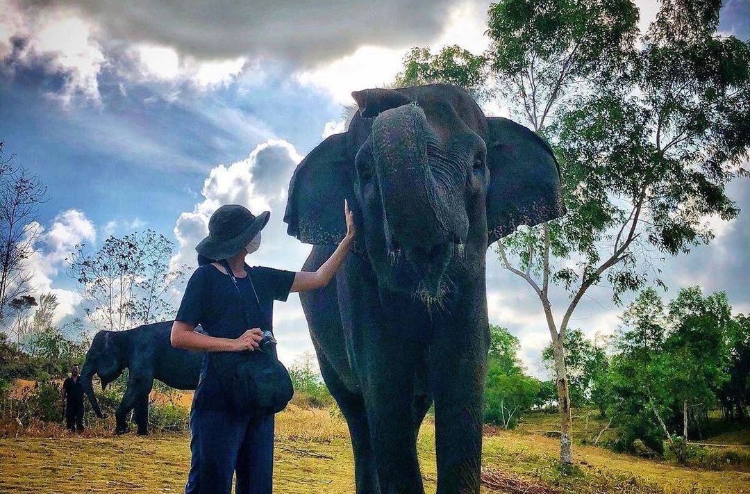Safari Lagoi dan Eco Farm: Pengalaman Menyenangkan dan Edukatif di Bintan