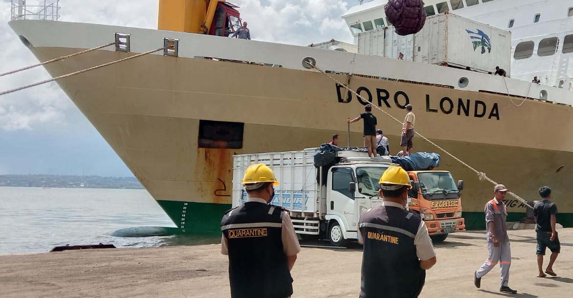 Jadwal Kapal Pelni KM Dorolonda Tanggal 19 hingga 31 Desember 2023