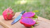 Manfaat Luar Biasa dari Buah Naga, Kaya Nutrisi dan Penyegar Tubuh