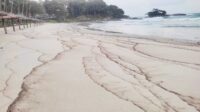 Tumpahan Minyak Cemari Pantai Club Med Bintan