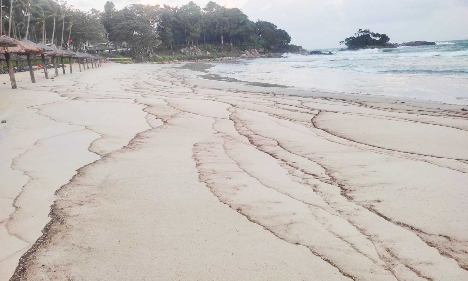Tumpahan Minyak Cemari Pantai Club Med Bintan