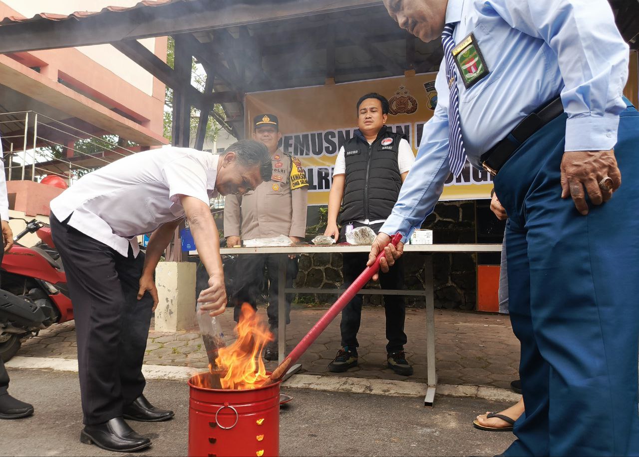 Polisi di Tanjungpinang Musnahkan 320 Gram Ganja