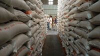Stok Beras di Kepri Aman Sampai Lebaran 2024