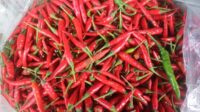 Cabai Merah jadi Idola di Gerakan Pangan Murah Tanjungpinang, Ludes Terjual dalam 1 Jam