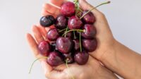 Manfaat Luar Biasa Konsumsi Buah Ceri untuk Kesehatan Tubuh