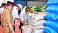 Pemerintah Akan Perpanjang Penyaluran Bansos Beras Hingga Akhir Tahun