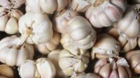 Harga Bawang Putih Naik Terus, Pemerintah Bakal Terapkan Harga Acuan Pembelian