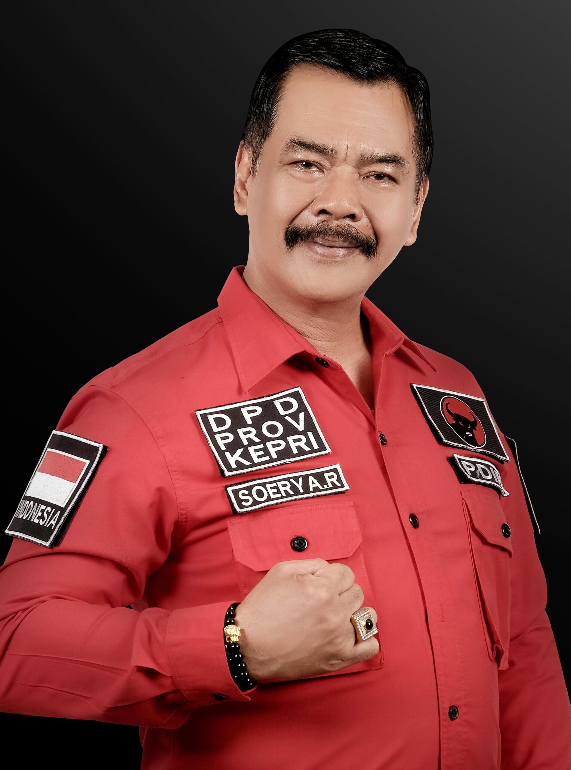 Ketua DPD PDI Perjuangan Provinsi Kepri