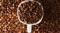Indonesia Masuk 4 Besar Produsen Kopi Terbesar Keempat di Dunia, Dominasi Kopi Robusta