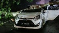 Mobil tertimpa pohon Pohon tumbang timpa mobil