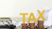 Pemerintah Perpanjang Tax Holiday hingga 2025