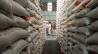 Bulog Pastikan Stok Beras Nasional Aman, Capai 2 Juta Ton Bulog Pastikan Stok Beras Nasional Aman, Capai 2 Juta Ton