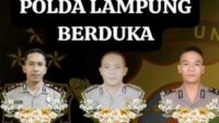 polres-way-kanan Tiga Anggota Polres Way Kanan Gugur Saat Penggerebekan Judi Sabung Ayam