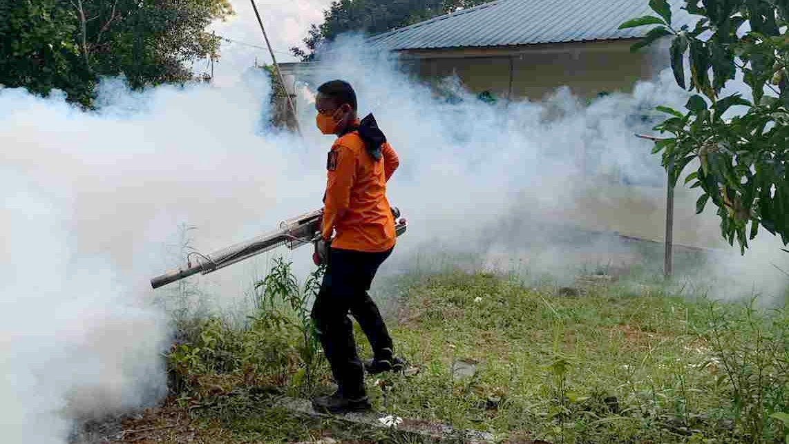 Kasus DBD di Tanjungpinang Naik, Dinkes Gencarkan Fogging dan Imbau PSN