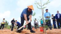 Pulihkan DAS Kawal, Pemkab Bintan Tanam Ratusan Pohon
