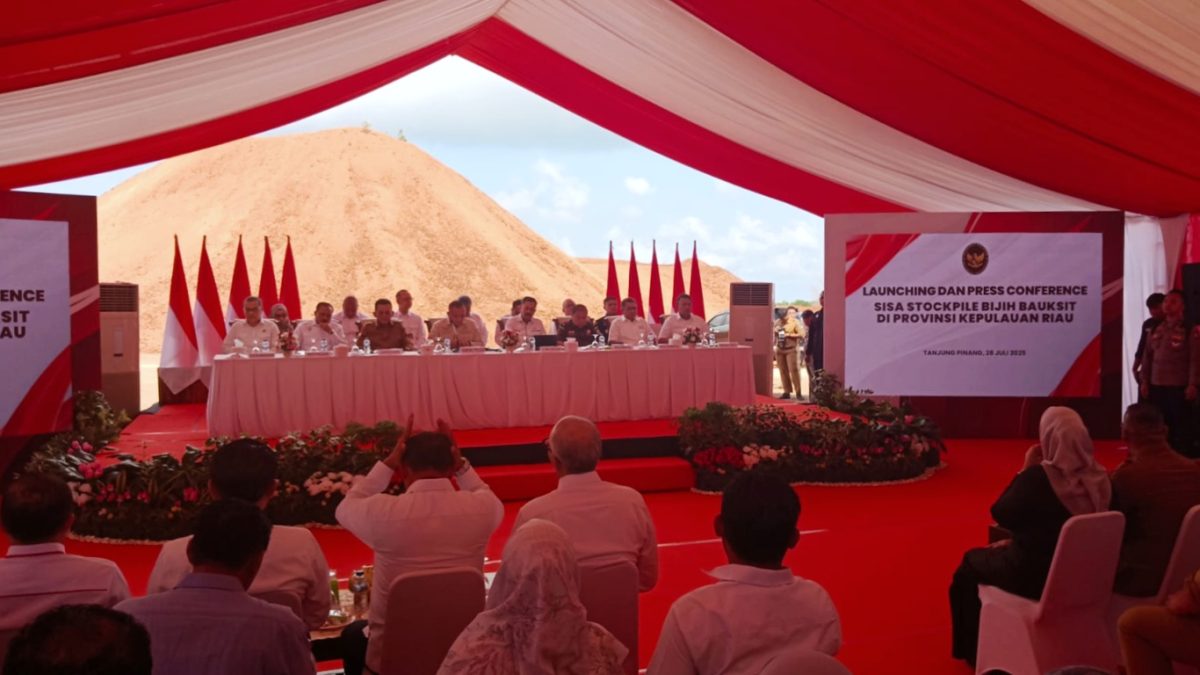 Stok Bauksit Sitaan Negara di Kepri Akan Dilelang, Nilainya Tembus Rp1,4 Triliun