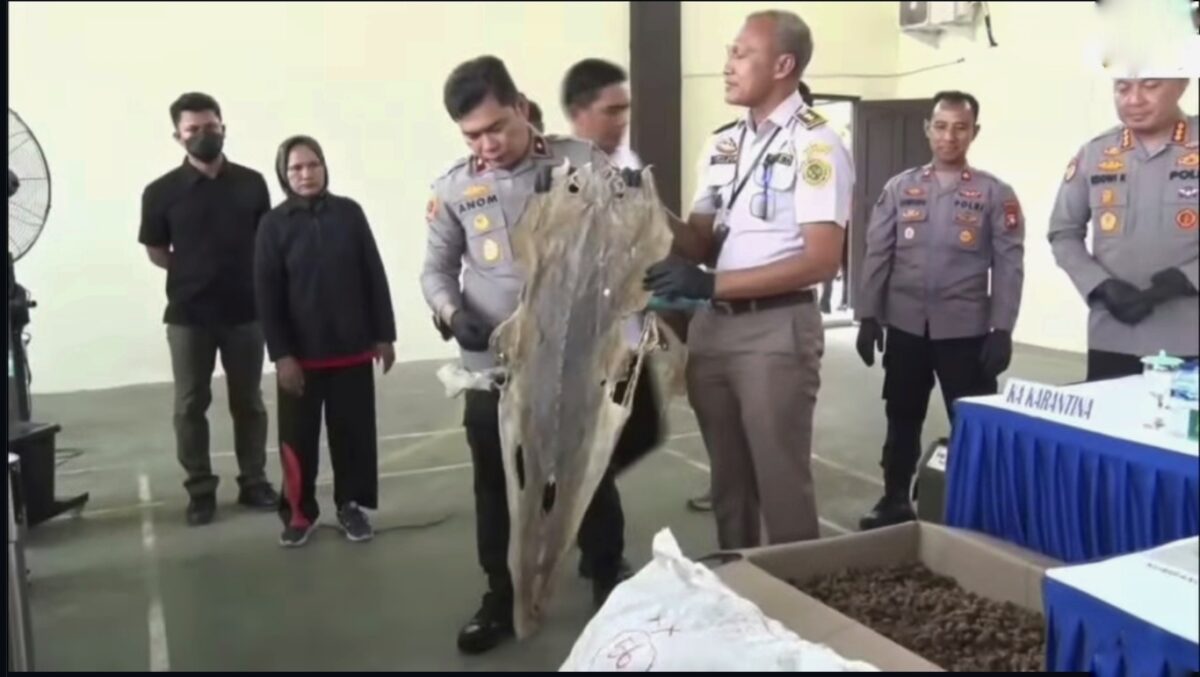 Polda Kepri Ungkap Penyalahgunaan BBM hingga Penyelundupan Ribuan Telur Penyu