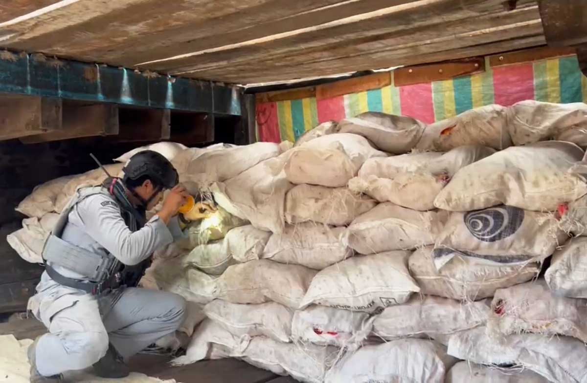 Bakamla Gagalkan Pengiriman Bawang Merah Tanpa Izin dari Batam ke Kuala Tungkal