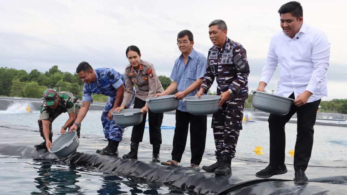 Perkuat Ketahanan Pangan, Bupati Roby Dukung Budidaya Udang Vaname di Bintan