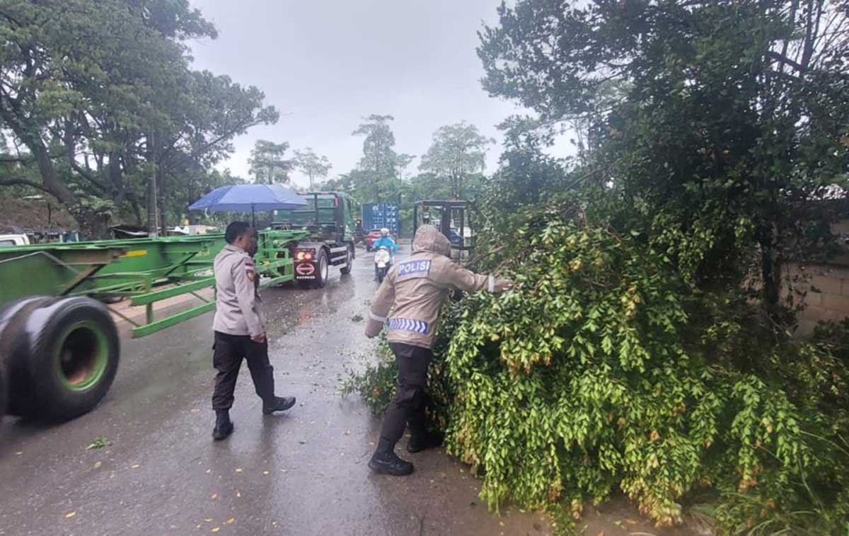 Sigap, Polsek Batu Ampar Evakuasi Pohon Tumbang, Jalan Kembali Lancar