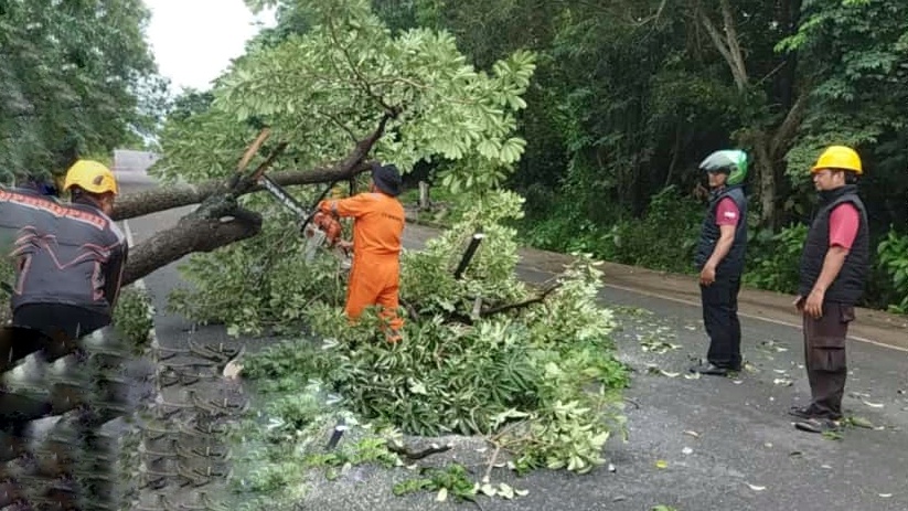 angin kencang tanjungpinang