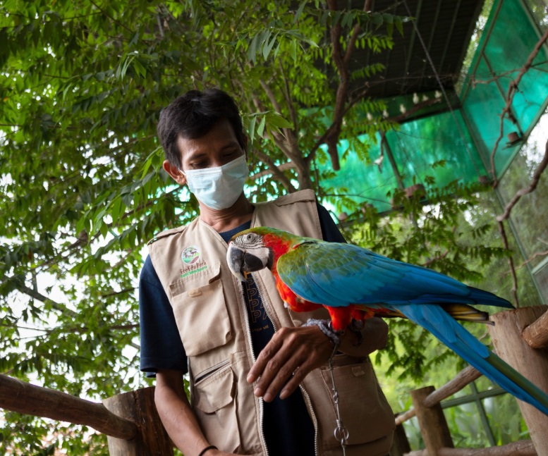 Serunya Menjelajah Panbil Nature Reserve Batam, dari Hutan ke Edu Park