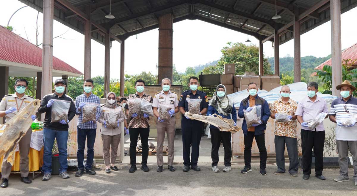 Ribuan Satwa Kering Ilegal Dimusnahkan di Batam, Ada Kuda Laut hingga Kulit Ikan Pari