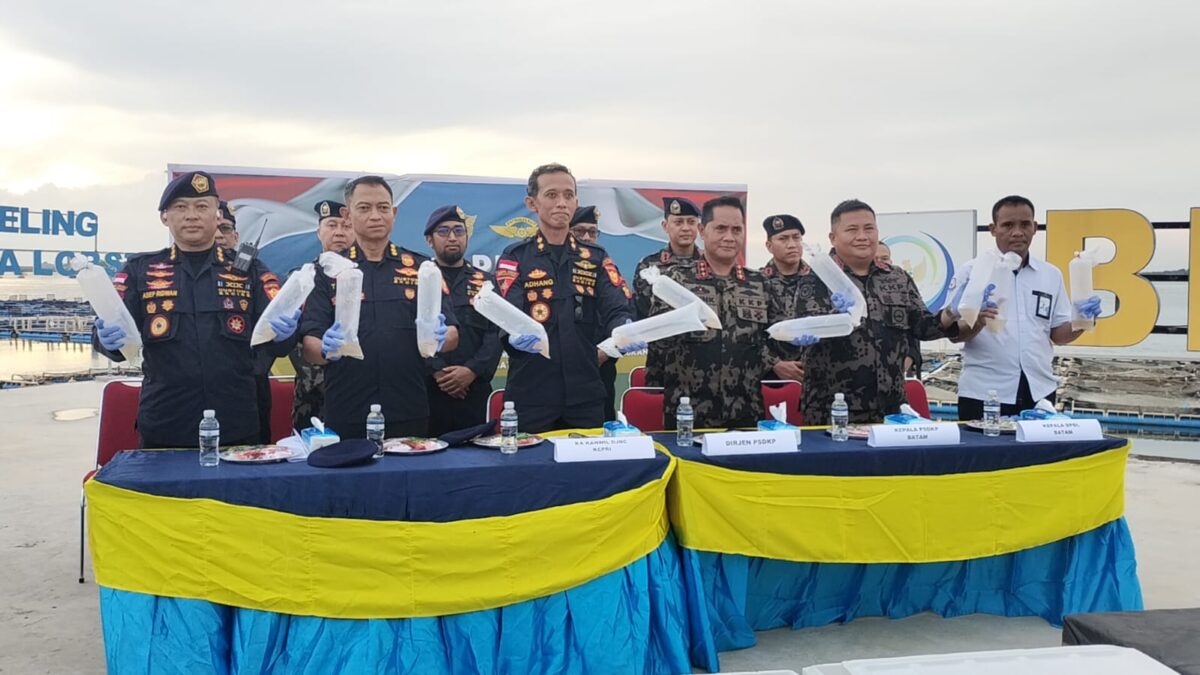 Penyelundupan Benih Lobster