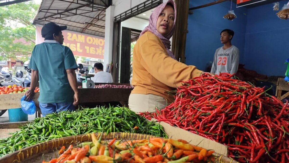harga cabai meroket