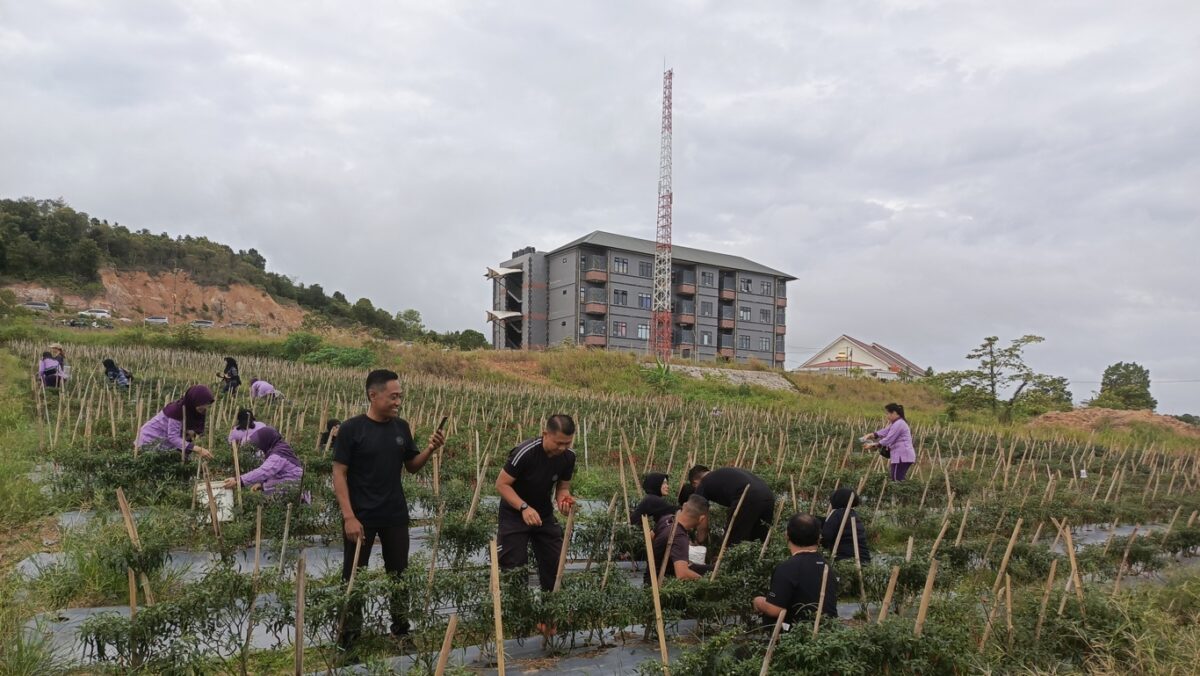Cuaca-Kepri-6-Januari 2025