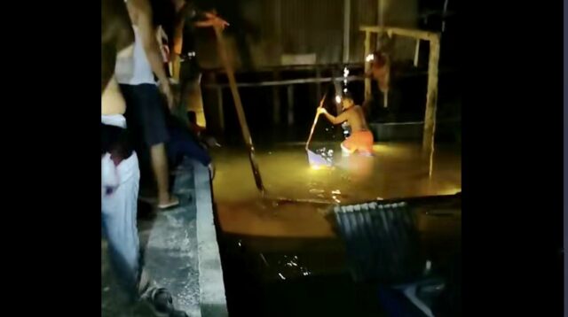 buaya terkam nelayan