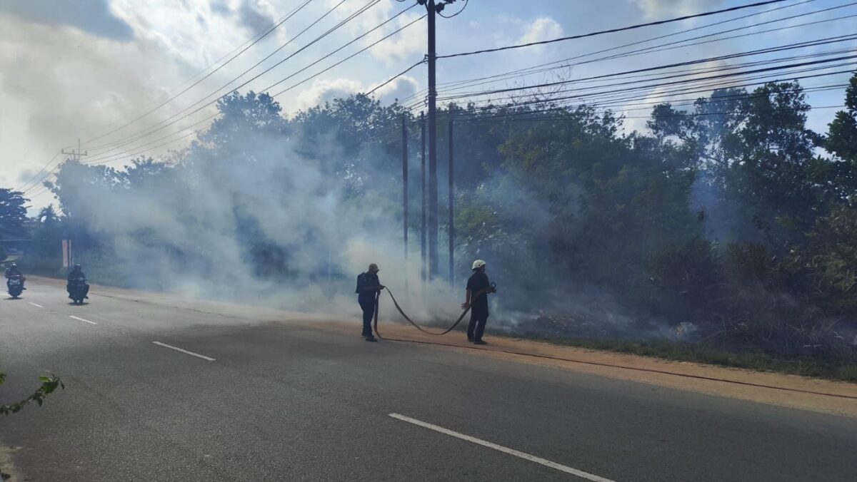 kebakaran lahan tanjungpinang