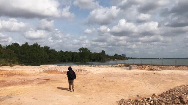 reklamasi mangrove ilegal