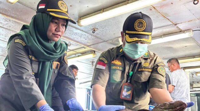 Ekspor Perdana Ikan Hidup Natuna Tembus Pasar Hong Kong