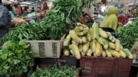 harga-sayur-melonjak harga sayur melonjak