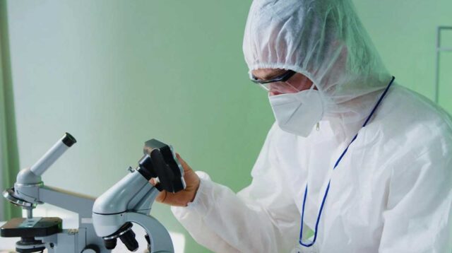 Dari Anggrek hingga Ikan, Peneliti BRIN Temukan 51 Spesies Baru