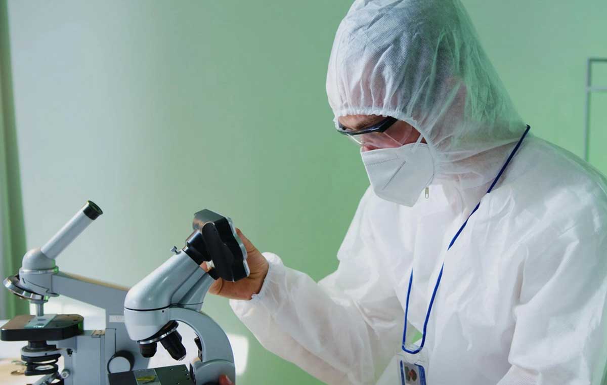 Dari Anggrek hingga Ikan, Peneliti BRIN Temukan 51 Spesies Baru