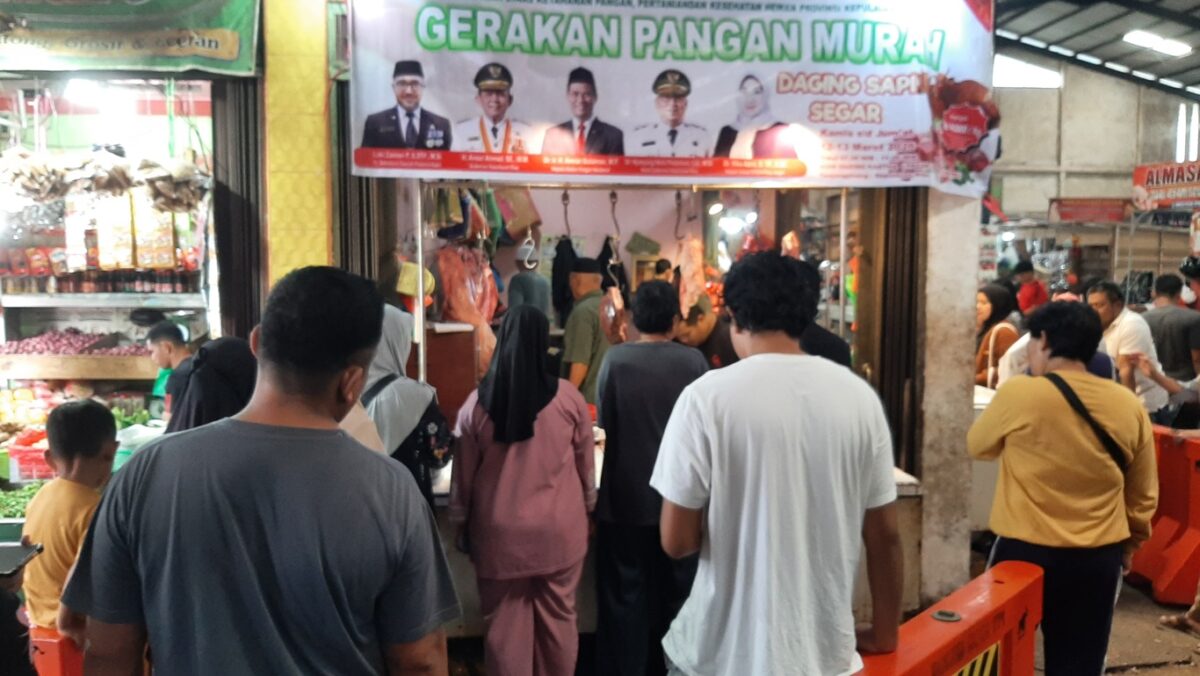 daging murah