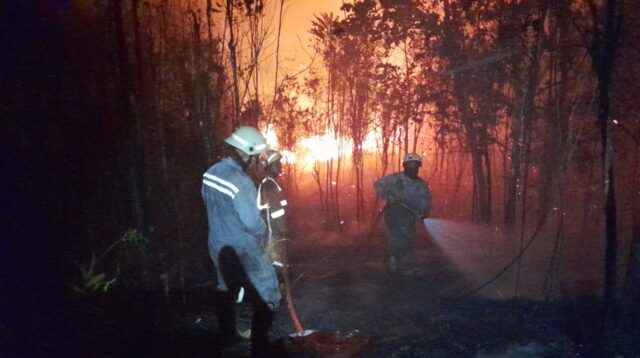 Kebakaran Lahan di Teluk Sebong Bintan, Damkar Padamkan Api Hampir 4 Jam