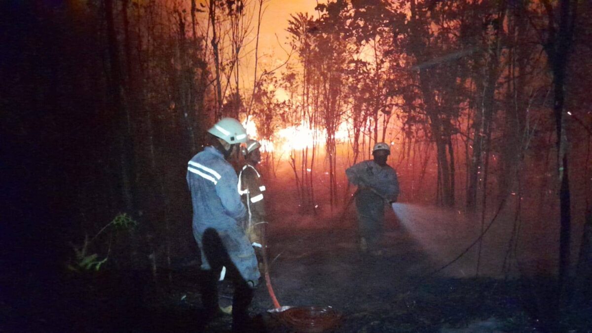 Kebakaran Lahan di Teluk Sebong Bintan, Damkar Padamkan Api Hampir 4 Jam