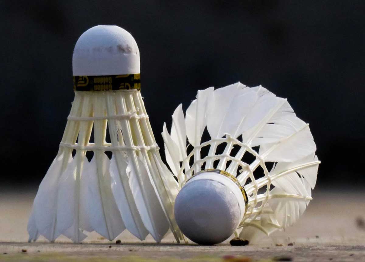 Daftar Lengkap Skuad Indonesia di Thomas & Uber Cup 2026, Full Tim Inti