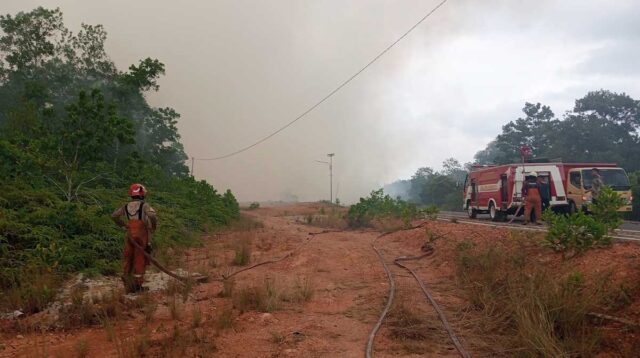 Ratusan Hektare Lahan Terbakar di Tanjungpinang, Kecamatan Ini Terparah