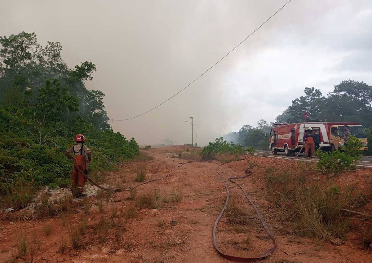 Ratusan Hektare Lahan Terbakar di Tanjungpinang, Kecamatan Ini Terparah