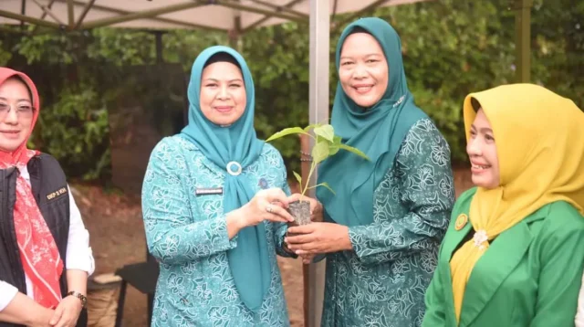 Dorong Ketahanan Pangan, PKK Kepri Bagikan 40 Ribu Bibit Cabai ke Warga